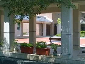 WP_20160804_10_17_23_Pro.jpg