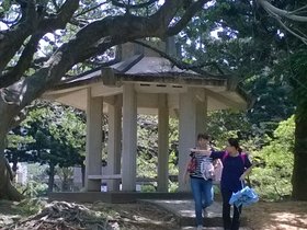 WP_20160804_10_24_38_Pro.jpg