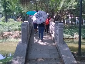 WP_20160804_10_25_48_Pro.jpg