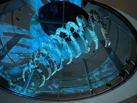 IMG_1059.jpg