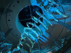 IMG_1064.jpg