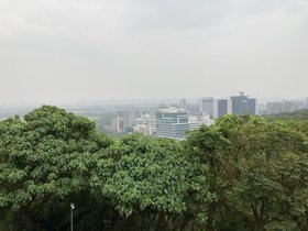 IMG_9935.JPG