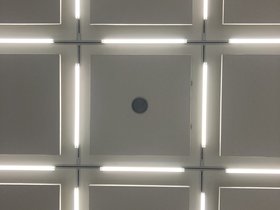 IMG_9937.JPG