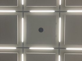IMG_9938.JPG