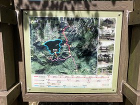 IMG_6565.JPG