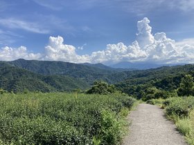 IMG_6599.JPG