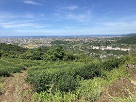 IMG_6601.JPG