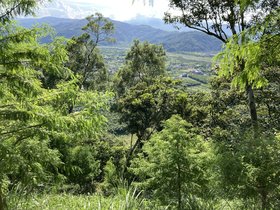 IMG_6615.JPG