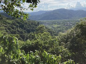 IMG_6618.JPG