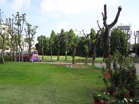 DSC02510.JPG