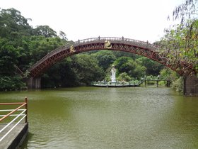 DSC02541.JPG