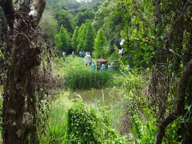 DSC02550.JPG