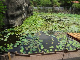DSC02568.JPG