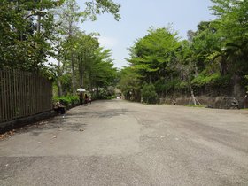 DSC02578.JPG