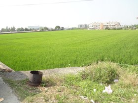 DSC02646.JPG