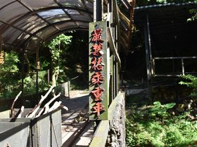 DSC_0428.JPG