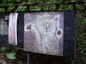 DSC_0433.JPG