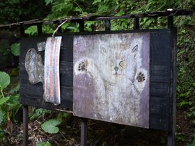 DSC_0434.JPG
