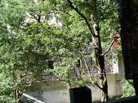DSC_0436.JPG