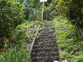 DSC_5318.JPG