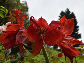 DSC_5334.JPG