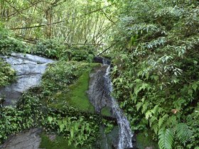 DSC_5432.JPG