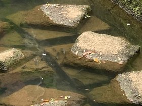 IMG_1108.JPG