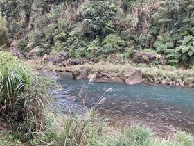 IMG_1389.JPG