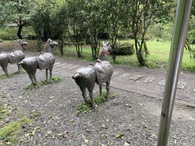 IMG_1418.JPG