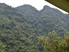 DSC_0496.JPG