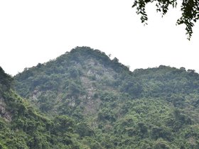 DSC_0500.JPG