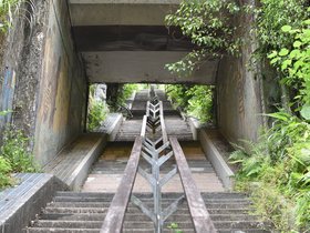 DSC_0527.JPG
