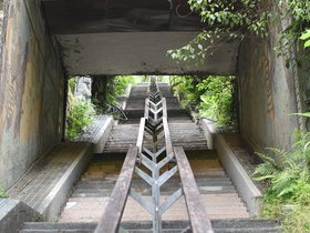 DSC_0529.JPG