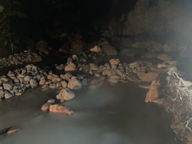 Wild Hot Springs