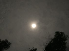 IMG_8064.JPG