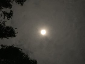 IMG_8065.JPG