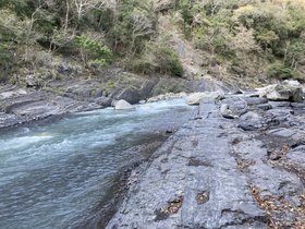 IMG_2579.JPG