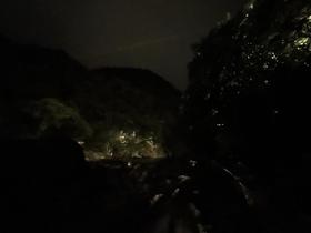IMG_9692.jpg